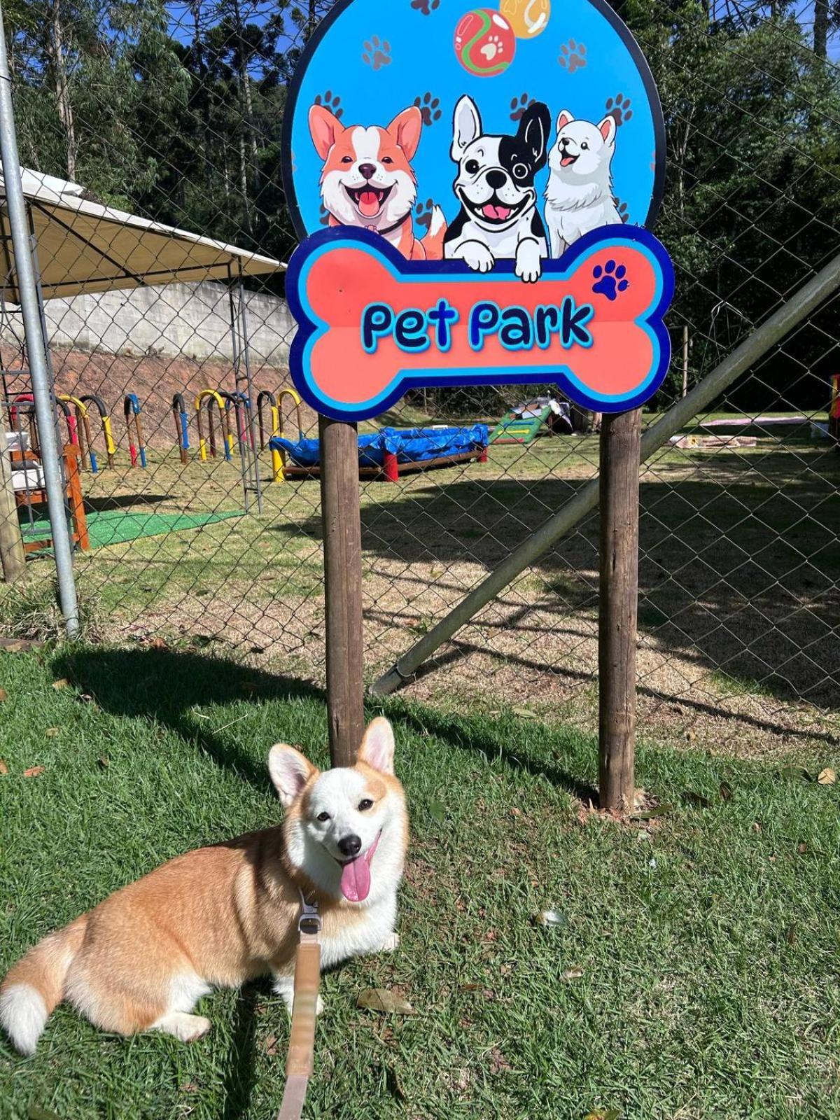 Pousada Serra Das Araucarias Petfriendly - Caofe Da Manha Pet São Roque Exterior foto
